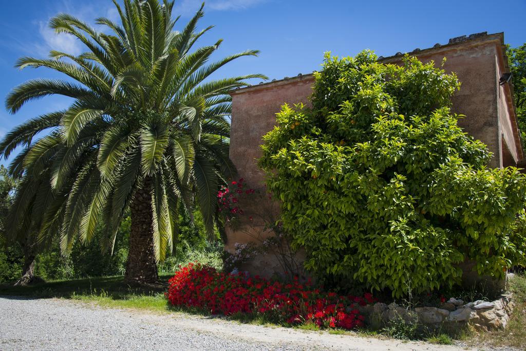Agriturismo L'Isola Crespina Cameră foto