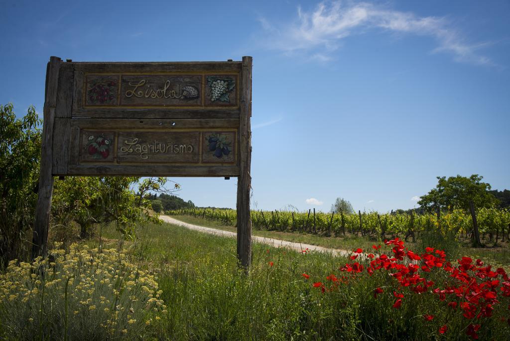Agriturismo L'Isola Crespina Cameră foto