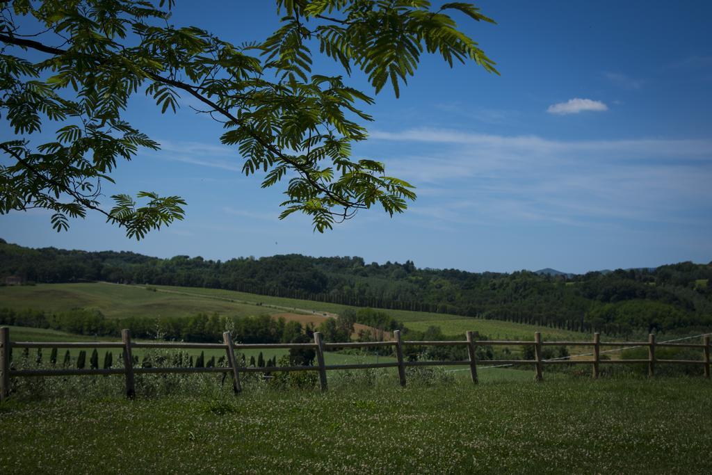 Agriturismo L'Isola Crespina Cameră foto